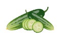 Fresh cucumbers whole and slices, flat style vector illustration isolated on white background Royalty Free Stock Photo