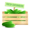 Fresh cucumbers in a wooden box on a white background.