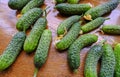 Fresh cucumbers with yellow flowers on the wooden table close-up. Top view. Organic vegetables. Natural food Royalty Free Stock Photo