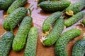 Fresh cucumbers with yellow flowers on the wooden table close-up. Top view. Organic vegetables. Natural food Royalty Free Stock Photo