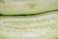 Fresh Cucumer Macro