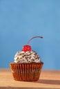 Fresh cupcake with red cherry on top Royalty Free Stock Photo