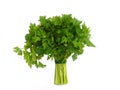 Fresh curly parsley
