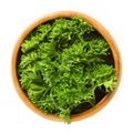 Fresh curly parsley leaves in wooden bowl over white