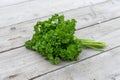 fresh, curly parsley on a light wooden background