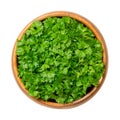 Fresh curly leaf parsley, with green crinkled leaves, in wooden bowl