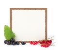 Fresh currant with banner