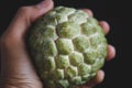 Fresh Custard Apple