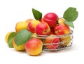 Fresh apricot fruits Royalty Free Stock Photo