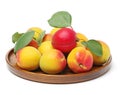 Fresh cut apricot fruits Royalty Free Stock Photo