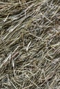 FRESH CUT BALED HAY BACKGROUND Royalty Free Stock Photo