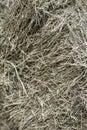 FRESH CUT BALED HAY BACKGROUND Royalty Free Stock Photo