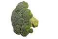 Fresh cut broccoli Royalty Free Stock Photo