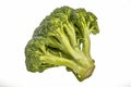 Fresh cut broccoli Royalty Free Stock Photo