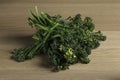 Fresh Cut Broccolini Bunch