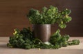 Fresh Cut Broccolini Bunch