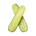 Fresh cut cucumber isolated on white background, close up Royalty Free Stock Photo