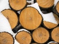Fresh cut firewood bundle under snow front view