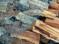 Fresh Cut Firewood with Netting Royalty Free Stock Photo