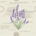 Fresh cut fragrant lavender plant flowers bunch, realistic icon isolated vector illustration