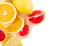 Fresh cut grapefruite lemon and orange on a white background