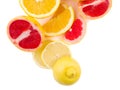 Fresh cut grapefruite lemon and orange on a white background