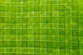 Fresh Cut Grass Pattern Background Texture Royalty Free Stock Photo