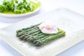 Fresh cut green cooked asparagus Royalty Free Stock Photo