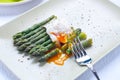 Fresh cut green cooked asparagus Royalty Free Stock Photo