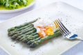 Fresh cut green cooked asparagus Royalty Free Stock Photo