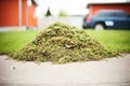 fresh cut green grass clippings piled up Royalty Free Stock Photo