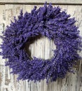 Fresh cut homemade lavender wreath in white door Royalty Free Stock Photo