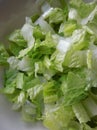 Fresh cut lettuce
