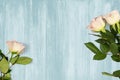 Fresh Cut Light Pink Roses Background Royalty Free Stock Photo