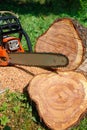 Fresh cut logs and chainsaw tire