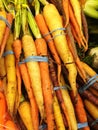 Fresh Cut Organic Carrots