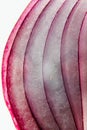 Fresh cut red onion closeup slices of vegetables on white background