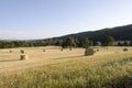 Fresh Cut Rolls of Hay in Western Field Royalty Free Stock Photo