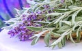 Fresh cut sage branches with flowers and leaves on a white table outsise in summer garden. A bunch of kitchen herb salvia