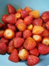 Fresh cut strawberries for summer Royalty Free Stock Photo