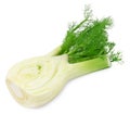 Fresh cutted fennel