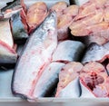 Fresh cutted fish