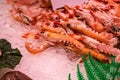 Norway lobster fresh on the ice at the market. Royalty Free Stock Photo