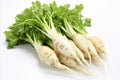 Fresh daikon radish on clean white backdrop for captivating ads and packaging designs.