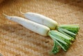 Fresh daikon radishes vegetable