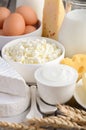 Fresh dairy products. Milk, cheese, brie, Camembert, butter, yogurt, cottage cheese and eggs on wooden table. Royalty Free Stock Photo