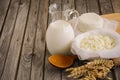 Fresh dairy products. Milk and cottage cheese with wheat on the rustic wooden background. Royalty Free Stock Photo