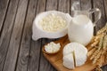 Fresh dairy products. Milk and cottage cheese with wheat on the rustic wooden background. Royalty Free Stock Photo