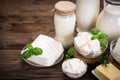 Fresh dairy products Royalty Free Stock Photo