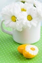 Fresh daisy flowers and yellow heart Royalty Free Stock Photo